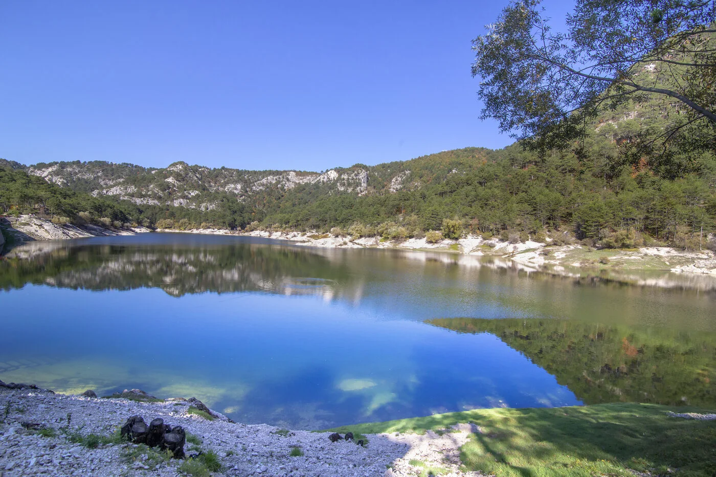 Grahovo Lake in a natural setting